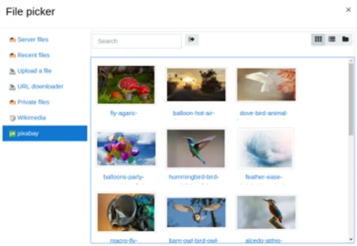 file picker